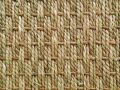 seagrass carpet-164-120-90-80-c